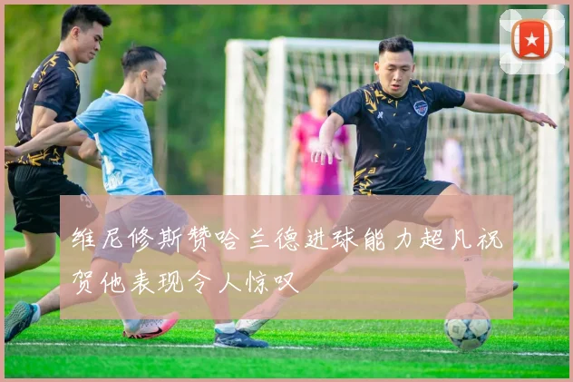 维尼修斯赞哈兰德进球能力超凡祝贺他表现令人惊叹