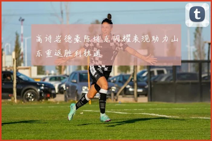 高诗岩德豪陈培东闪耀表现助力山东重返胜利轨道