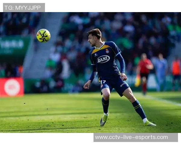 麦肯齐谈波帅指导风格希望能效仿罗梅罗的踢球方式